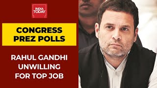 Rahul Gandhi Unwilling To Take Up Top Job In Congress; Party Internal Poll Scheduled in May