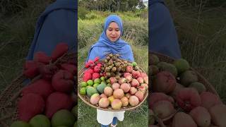 Petik buah dikebun #shorts