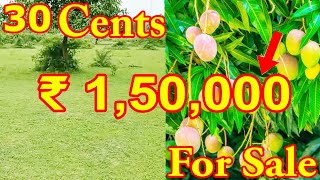 30 Cents Of Mango Garden for Sale | ₹ 1,50,000 Lakh | Ulavapadu Mango Tree | Vizag Real Estate Tv