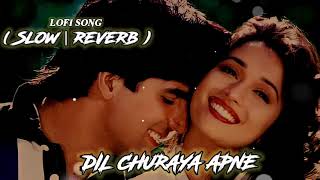 Dil Churaya Apne | Dil Churya Apne | (90's Love Song) Akshay Kumar, Raveena Tandon|| 90's