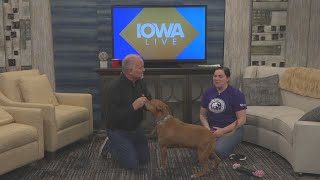 Talking with the ARL of Iowa