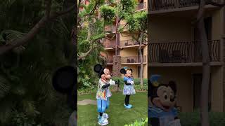 アウラニ限定のミッキーマウス＆ミニーマウス🤗やっぱり可愛い〜ですね〜 #shorts #HAWAII #aulani #Disney #Micky #Minnie #Donald Duck