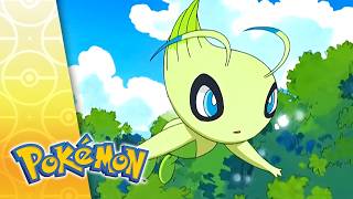 The Green Guardian! | POKÉMON FULL EPISODE 10 | Season 9
