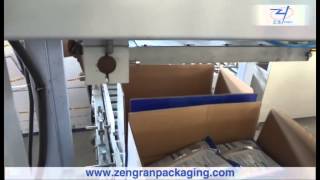 Automatic Pouch Packaging Line—AnHui ZengRan