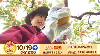 【さくらんぼテレビ】昼ドキ！TV　やまがたチョイす10月19日（土）OA予告