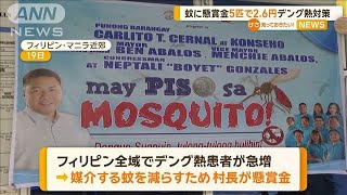 蚊に懸賞金…5匹で2.6円　デング熱対策　フィリピン【知っておきたい！】【グッド！モーニング】(2025年2月23日)