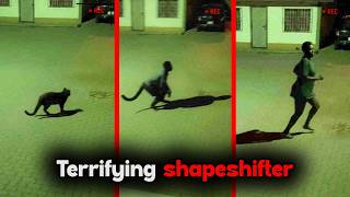 Security Camera Captured What No One Was Supposed To See