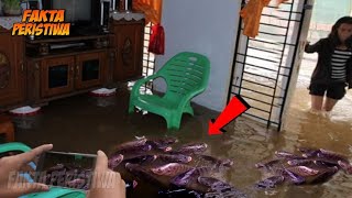 Banjir Membawa Berkah!! Pemilik Rumah Kaget! Tiba² Ratusan Ikan Besar Masuk Rumah Saat Banjir!