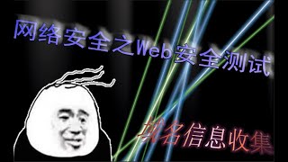 黑客入门之Web安全测试 1day域名信息收集