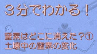 【030】窒素はどこに消えた？①