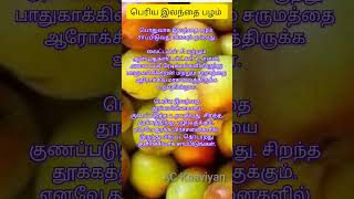 பெரிய இலந்தை பழம் #shortvideo #shortsfeed