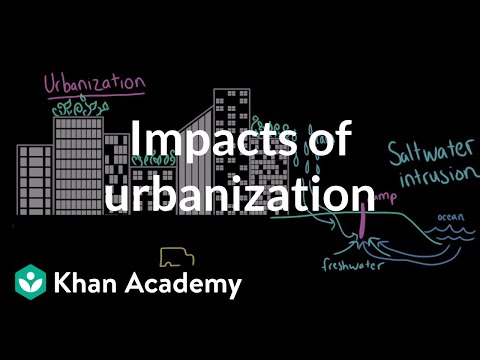 What are the environmental problems of urban and rural areas?