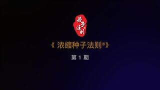 第1期《浓缩种子法则®》1.0 线下三天课程 | Highlight Video