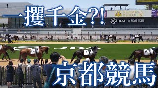 【絶叫】馬券で一攫千金！？京都わくわく競馬の旅