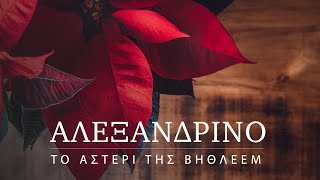 Αλεξανδρινό (poinsettia) - Το αστέρι της Βηθλεέμ