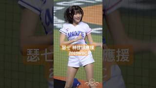 瑟七 林佳緯應援 #瑟七 2025WBC棒球經典賽資格賽 西班牙vs台灣 台湾プロ野球チア TeamTaiwan 2025/2/21