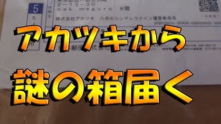 【ハチナイ】Akatsukiから謎の荷物が届いた件【実写動画】#466