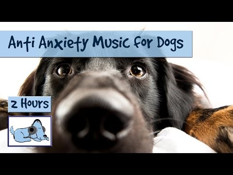 Anti Anxiety Music for Dogs - Cure Separation Anxiety with Dog Music! Anti Anxiety Music for Dogs - Cure Separation Anxiety with Dog Music!