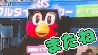 つば九郎🐧きょうのひとこと　シーズン最終戦からのシーズンIN 2023/10/04