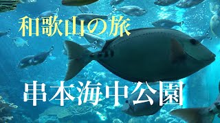 和歌山串本の旅【串本海中公園】半潜水型海中観光船　ステラマリス