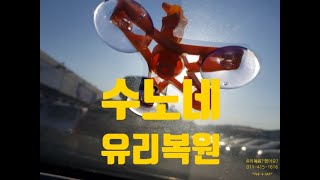 수노네 유리복원, 별표 유리콕,스톤칩복원 해볼까요,포천,양주,동두천