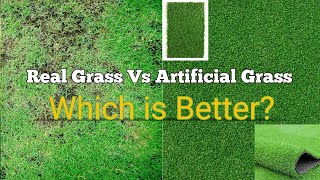 Artificial Grass vs  Real Grass: Which is Better?