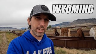 Exploring Cody Wyoming and Thrifting Out West!