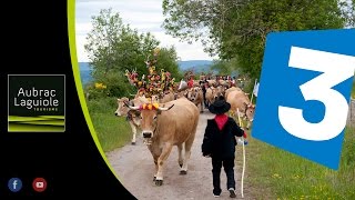 Fête de la Vache Aubrac en Transhumance (2012) - Reportage FR3