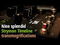 Nine splendid Strymon Timeline transmogrifications (no talk)