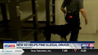 Morgan County K 9 Helping Detect Illegal Narcotics In Jail