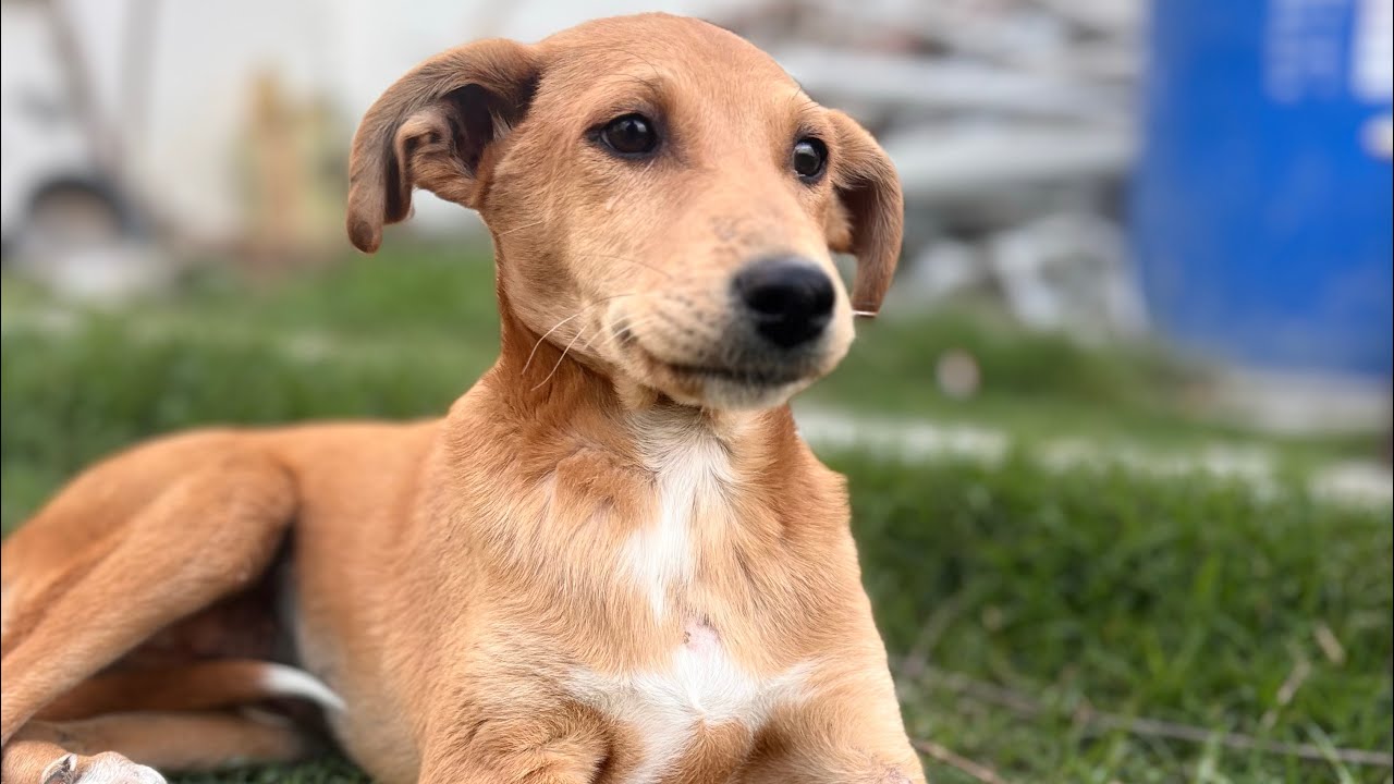 Feeding Time Youtube