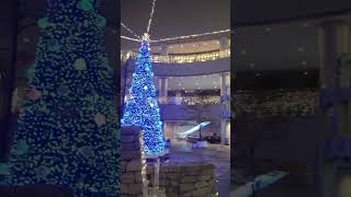 初台　オペラシティークリスマスイルミネーション2023                          Hatsudai Opera City Christmas Illumination 2023