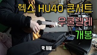 우쿨렐레개봉. 헥스 HU40 콘서트