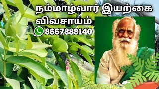 நம்மாழ்வார் விவசாயம் 🌿 இயற்கை விவசாயம்