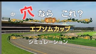 【スタポケ+】2023年エプソンカップ　予想シミュレーション