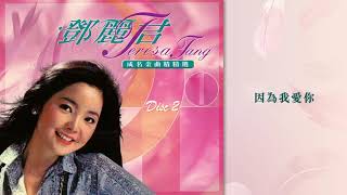 鄧麗君 - 因為我愛你 (鄧麗君成名金曲精選1)