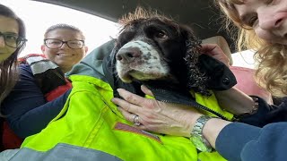 Dog rescued after treading for its life in icy quarry waters