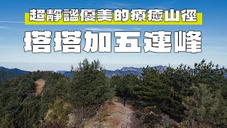 玉山塔塔加五連峰享受超靜謐優美的療癒山徑！｜從森林到草原的絕美景致！｜凹豆去EP4