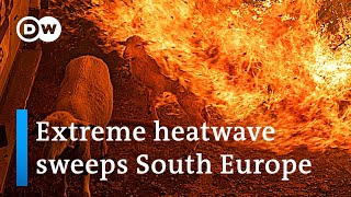 Southern Europe wildfires: A climate threat? | DW News
