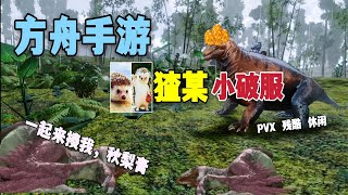 【猹某】方舟手游服务器再次复燃，三年骨灰级玩家的坚持！