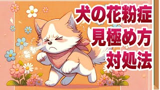 愛犬の春の不調、原因は花粉症？見極めと対処法を獣医師が伝授！