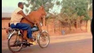 pathan new funny clips - Pahsto funny video - Pakistani Funny Clips | Funny Videos 2017