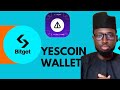 YESCOIN WALLET CONNECTION WITH BITGET.