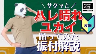 【振付解説】ハレ晴レユカイ　ダンスレクチャー動画　踊ってみた【涼宮ハルヒの憂鬱】