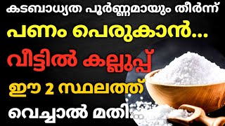 കടബാധ്യത തീർന്നു പണം പെരുകാൻ... കല്ലുപ്പ് ഈ 2 സ്ഥലത്തു വെച്ചാൽ മതി !! #varahimiracles #uppupariharam