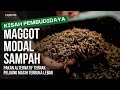 BUDIDAYA MAGGOT MODAL SAMPAH, PERMINTAAN 2 TON PER HARI MASIH BELUM MENCUKUPI