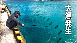 港で大量発生した生物が入れ食い最後に2.5kgの大物が釣れて大爆発…