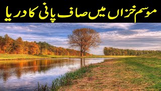 Clear Water River in Autumn | Crystal Natural Beauty Meditation for Study | Relaxation