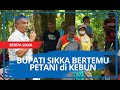 Bupati Sikka Fransiskus Roberto Diogo, Bertemu Petani di Kebun