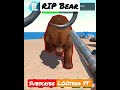 killed bear।last pirate। lastpirate shorts youtubeshorts